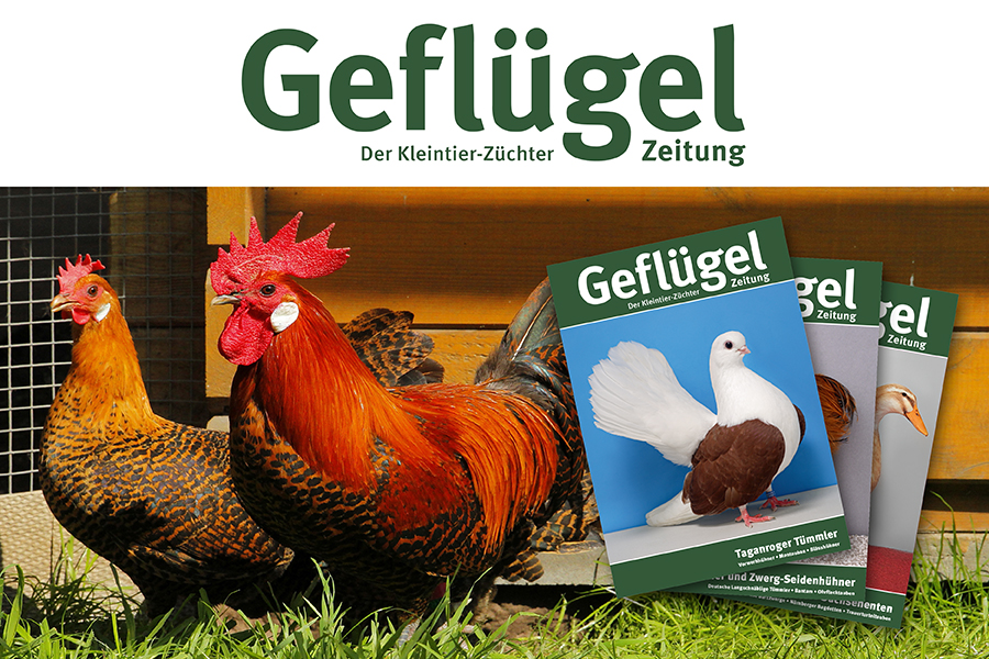 Geflügelzeitung