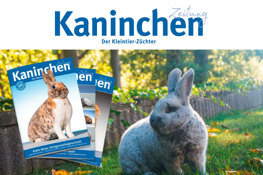 Kaninchenzeitung