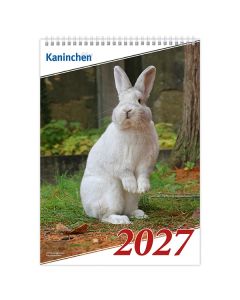 Bildkalender Rassekaninchen 2027