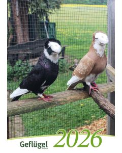 Bildkalender Geflügel 2026