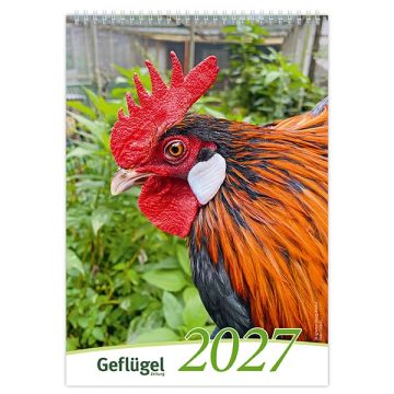 Bildkalender Rassegeflügel 2027