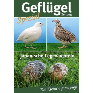 Japanische Legewachteln – Geflügelzeitung Spezial 01/2020