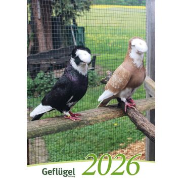 Bildkalender Geflügel 2026